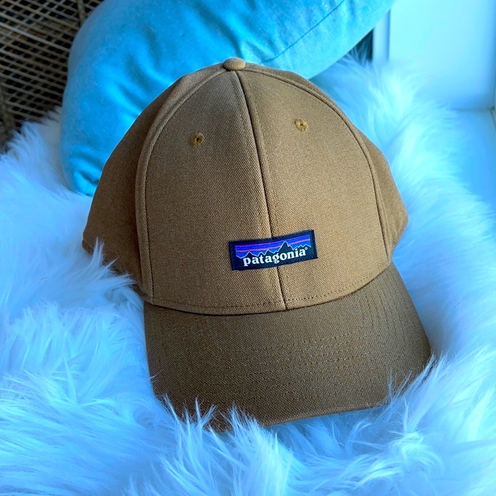 Patagonia lined winter baseball hat